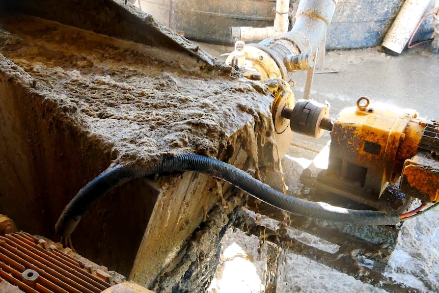 cattle paunch is mixed through a machine before being used to create biogas