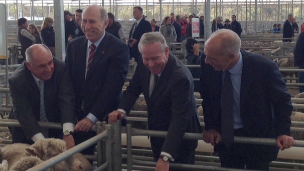WA Premier and other ministers at Katanning sheepyards