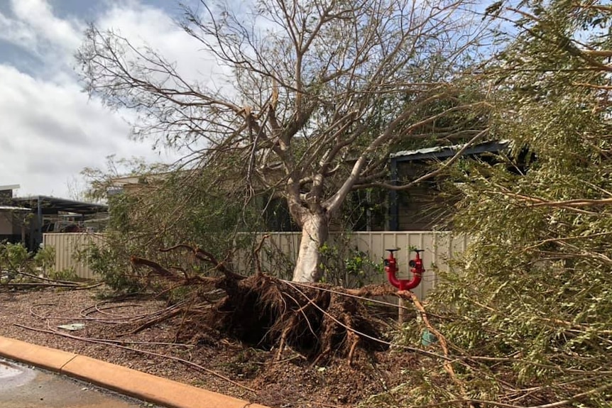 A large tree lies on a fence and a house after a storm.