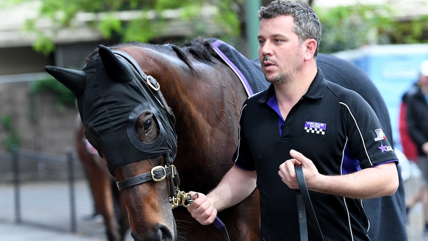 Cox Plate favourite Winx is taken for a walk by strapper Umut Odemislioglu at Moonee Valley.