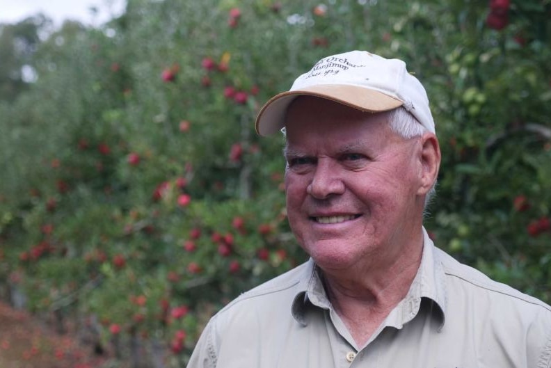 Ageing white man with white hair wearing a cap and shirt, standing in front of a row of apple trees
