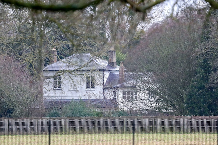 White cottage with chimneys seen through trees