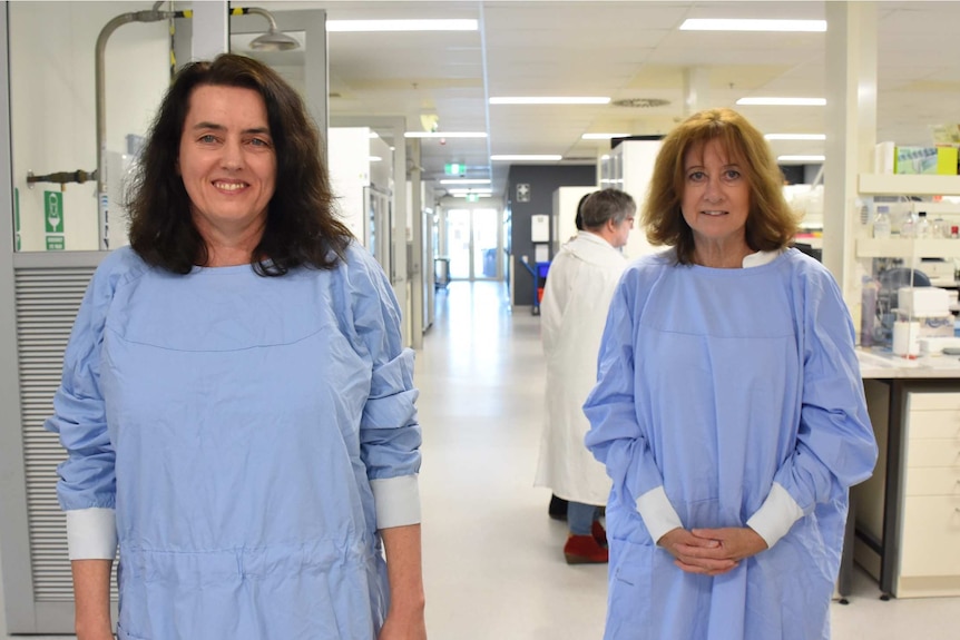 Professor Meg Jardine (left) and Professor Carol Pollock