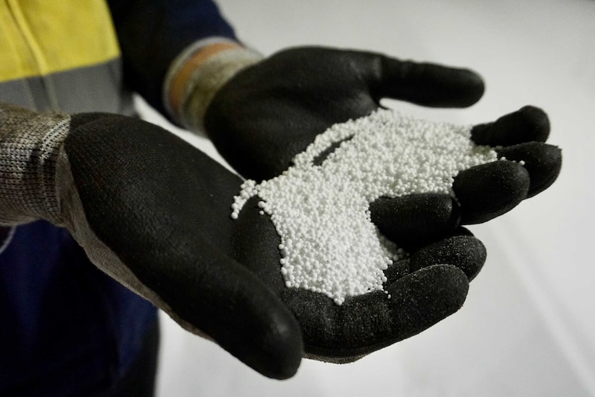 close up of a handful of small white ammonium nitrate pellets