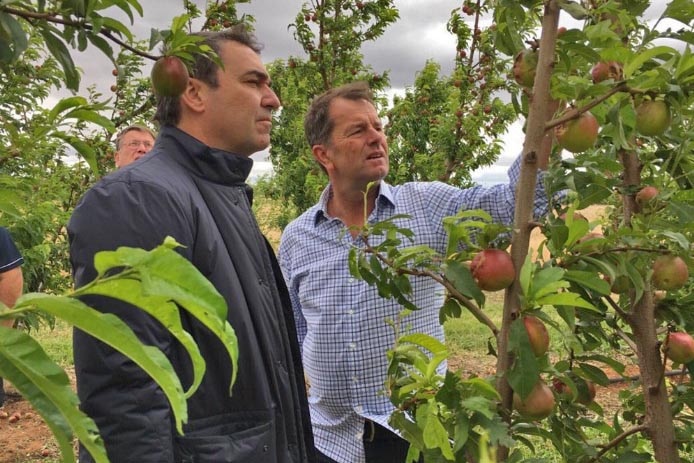Liberals Steven Marshall and Tim Whetstone inspect crop damage on a fruit tree