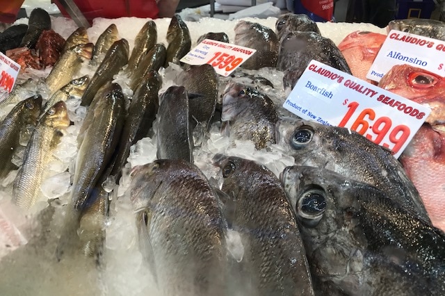 Big-eyed boarfish on display at a fish market next to snapper.