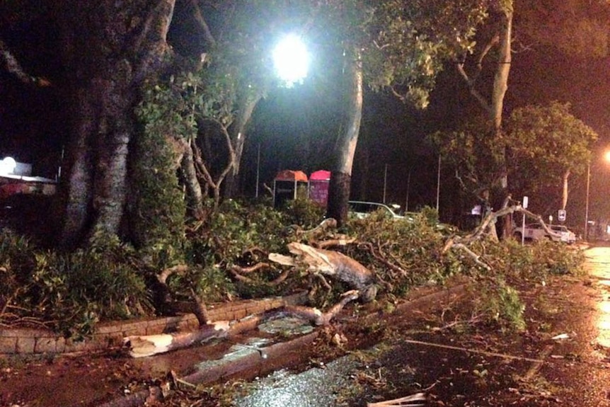 Large fallen tree branches littering the side of a road in Hervey Bay on Friday night