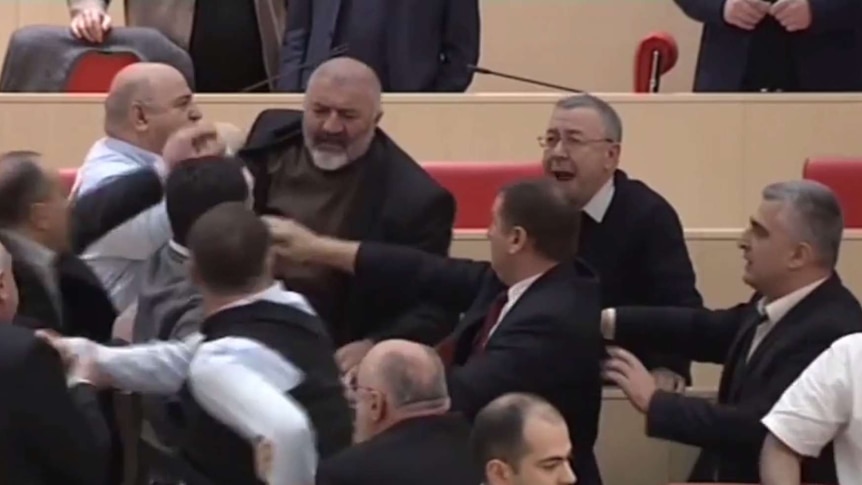 Brawl breaks out in Georgian parliament