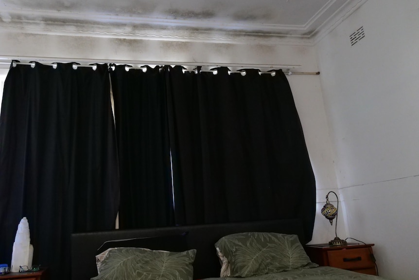 Black mould growth spread across the ceiling above the bed 