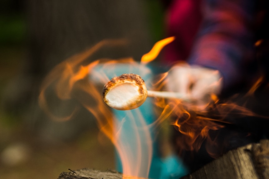 a child's hand holds a stick with a marshmallow with black edges from being toasted on an open flame.
