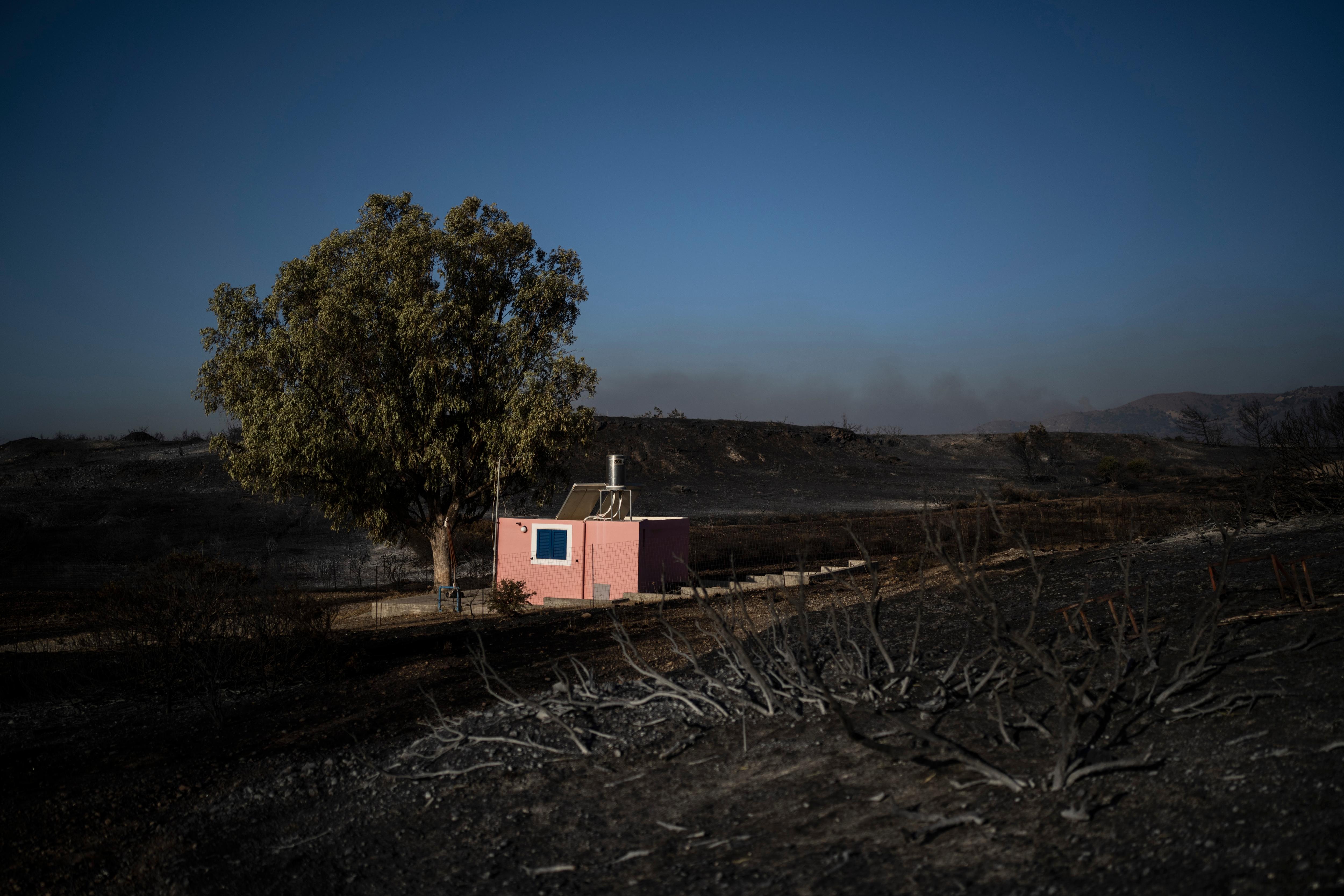 A red house stands among a burnt forest 