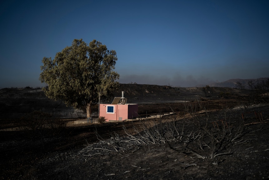 A red house stands among a burnt forest 