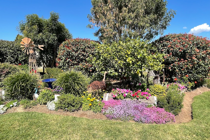 Colourful garden with windmill and various bushes.