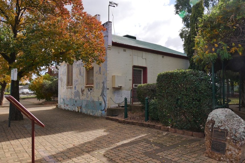 A white building behind a tree with autumn leaves.