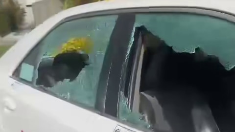 Smashed windows of a taxi parked on the street.