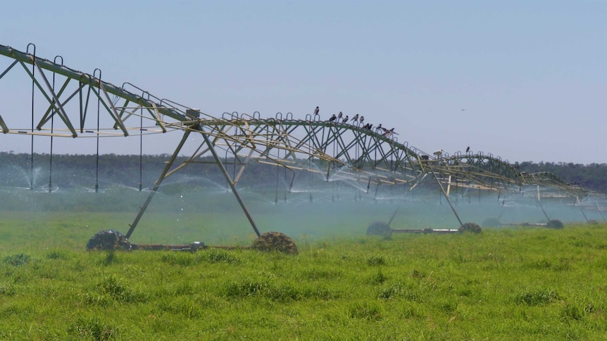 A large irrigation machine in a paddock