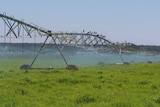 A large irrigation machine in a paddock