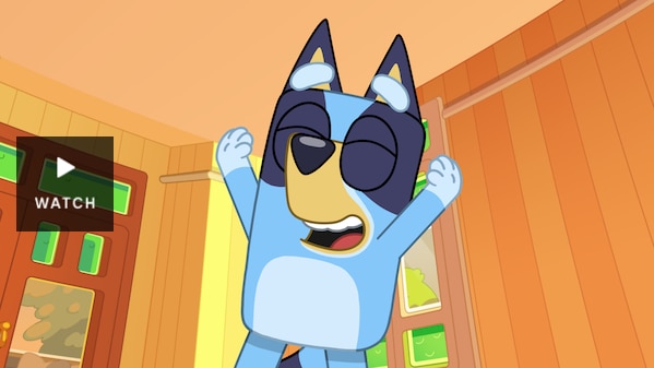 Still from Bluey Minisodes Burger Dpg showing cartoon dog smiling . Has Video.