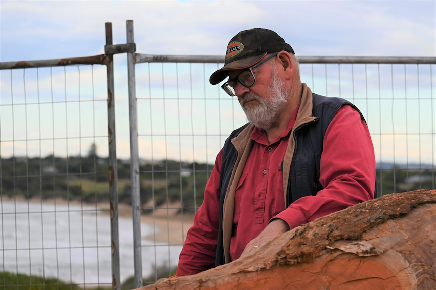 An older man, grey beard, wears black cap, glasses, red shirt looks down, with hand on the trunk of a red gum tree.