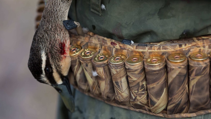 A bird's head with a spot of blood hangs lifeless next to Dean Rundell's ammo belt.