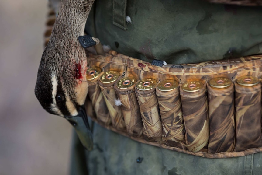 A bird's head with a spot of blood hangs lifeless next to Dean Rundell's ammo belt.