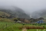 Mist shown among green hills in the background with a farm house in front of the land. Taken at Apollo Bay