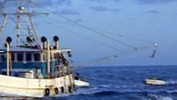Fishing industry fears fuel rebate withdrawal