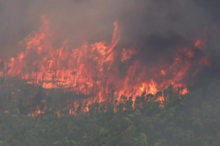 Large flames burn through bush land.