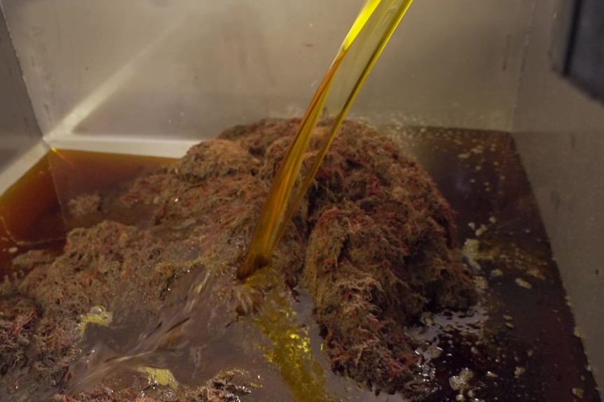 Oil being poured onto mushy brown substance.