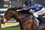 'She knows how to win' ... Michael Rodd rides Atlantic Jewel to victory.