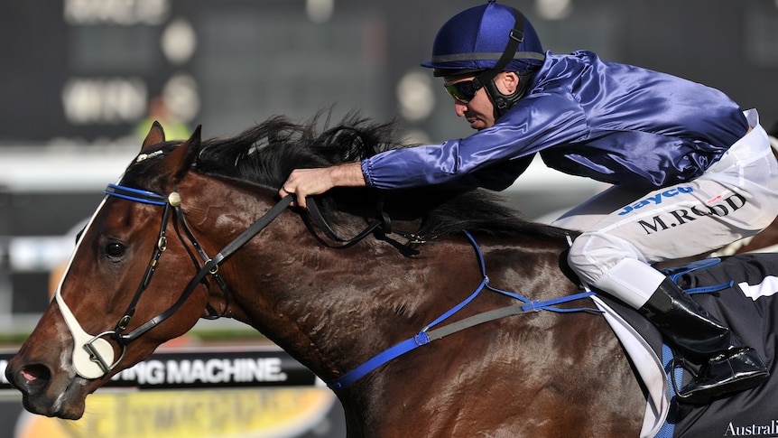 'She knows how to win' ... Michael Rodd rides Atlantic Jewel to victory.