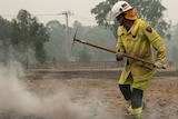 A firefighter stands on smouldering ground  in Wingello.