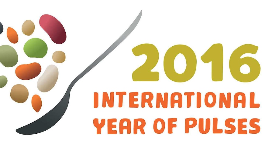 Logo from the International Year of the Pulse
