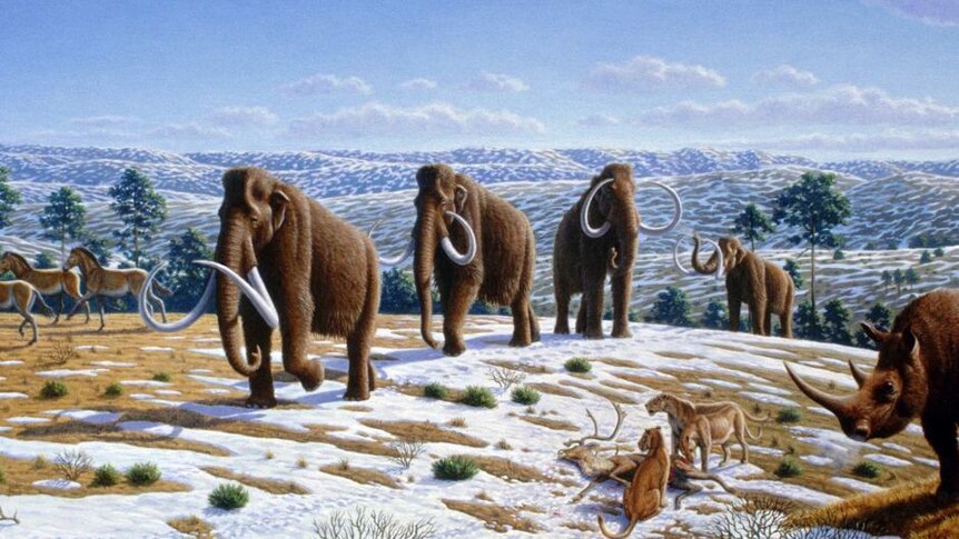 Habitat gajah purba berbulu mulai hilang di akhir Zaman Es.
