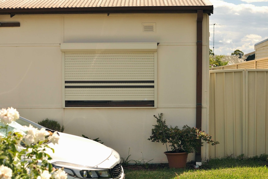 A home window with metal shutters on it, in the foreground is a car bonnet and a rose bush.