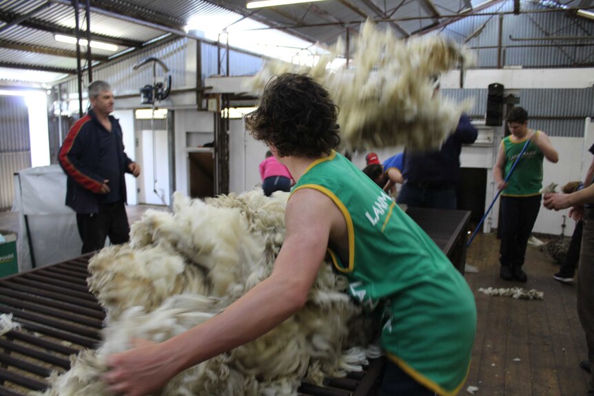 A dark-haired boy in a green singlet picks a fleece up off a table while another fleece is thrown in the background.