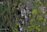 An aerial photo of a waterfall cascading down the side of a scrubby cliff.