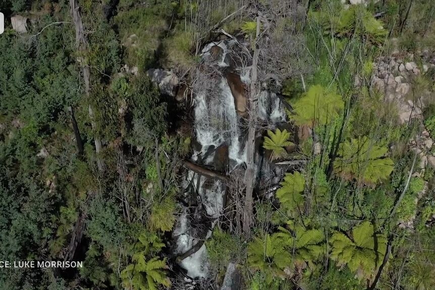 An aerial photo of a waterfall cascading down the side of a scrubby cliff.