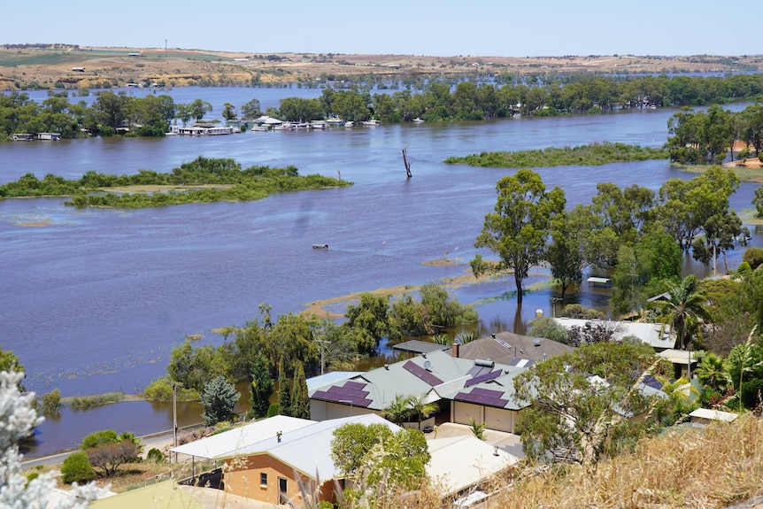 A river next to a town with trees