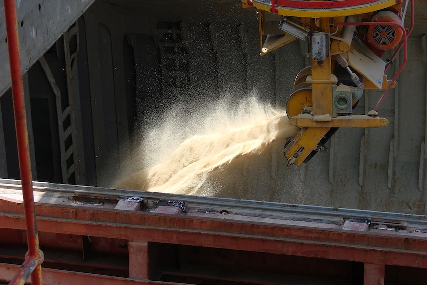 A chute dumps sugar into a container
