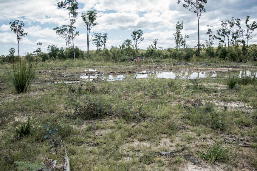 Logging at Oil Bore coup