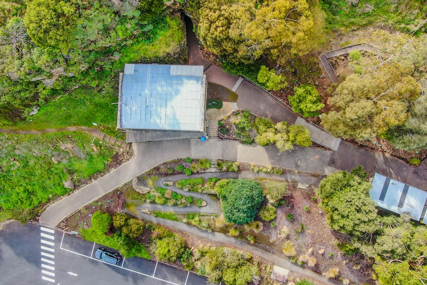 Aerial photo of a concrete walking path leading up to a building on a hill surrounded by green lush trees.