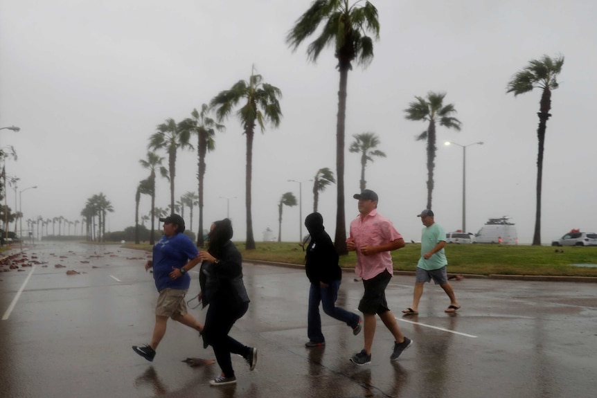 Five people run across the street a palm trees sway behind them in Texas