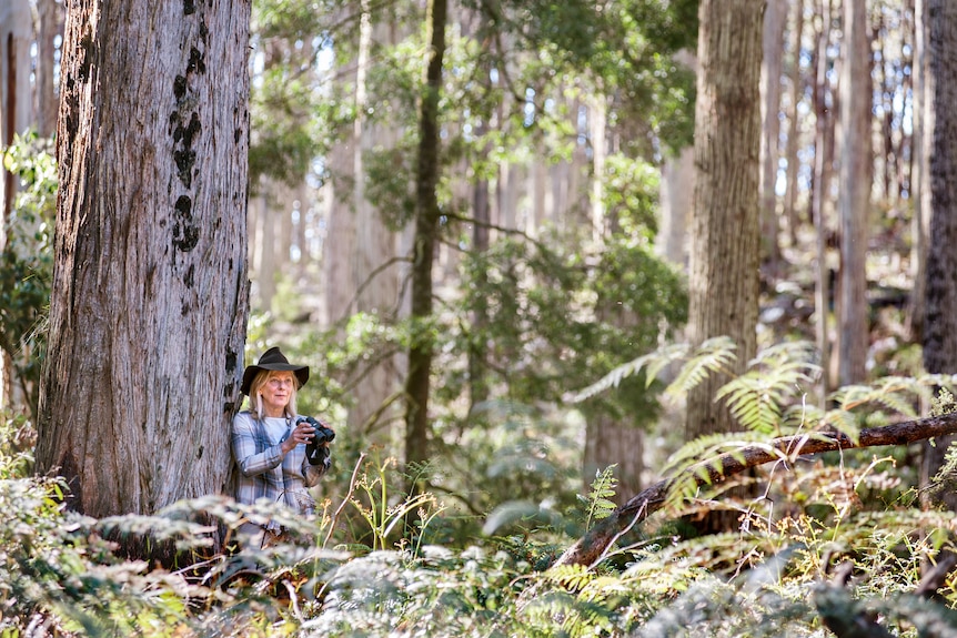 A woman wearing a hat with a camera leaning against a large tree.