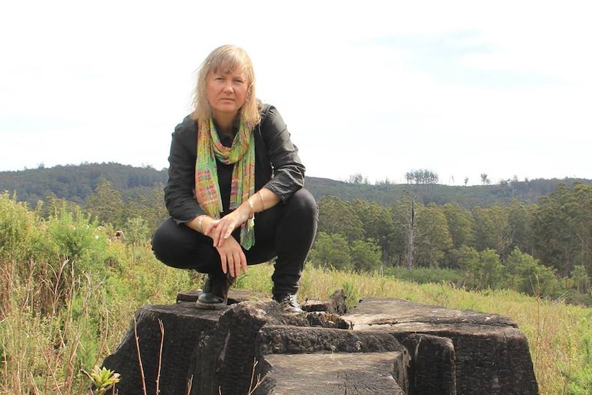 Samantha Dunn  stands on the stump of a tree which has been cut down.