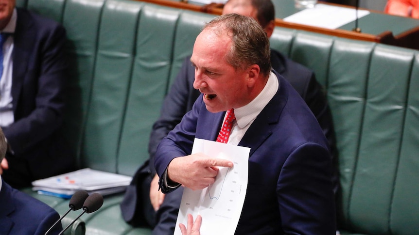 Barnaby Joyce points to a line graph showing growth following a trough, during Question Time.