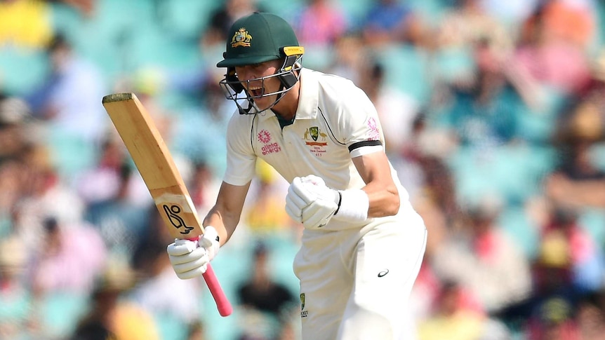 An Australian batsman pumps his fists and screams with joy after scoring a Test hundred.
