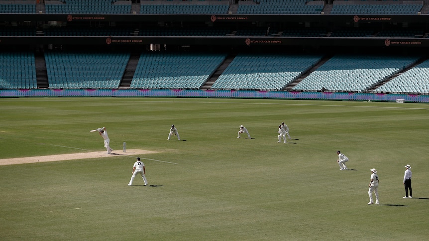 A wide shot of cricketers on the SCG