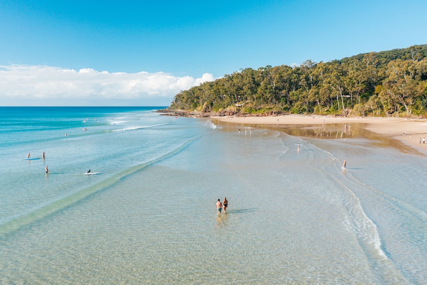 An aerial picture of Noosa beach with surfers in the ocean