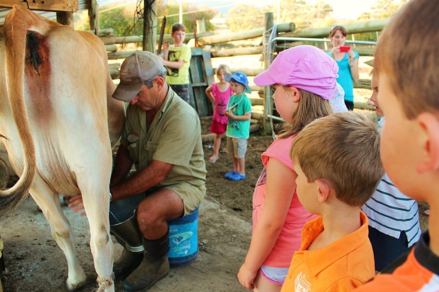 Tasmanian farmer Rowen Carter demonstrates milking to a young audience.